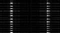 03.gif